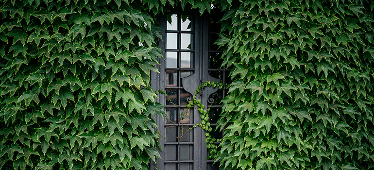 Garden Gate Repair in Greenacres, FL