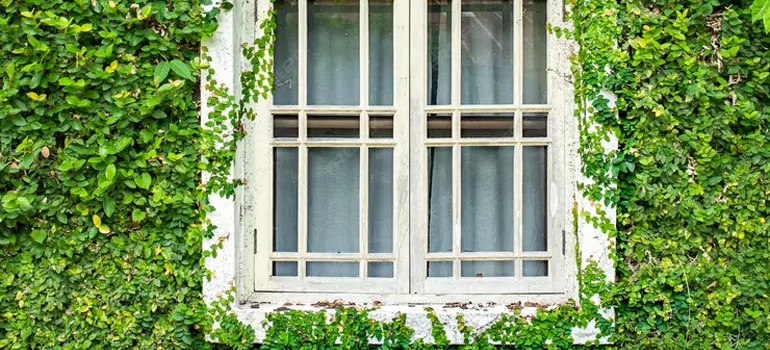 Garden Window Repair Near Me in Greenacres, FL